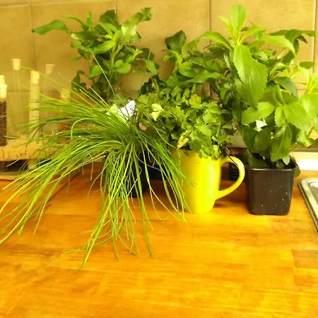 Apartamento * Estoril